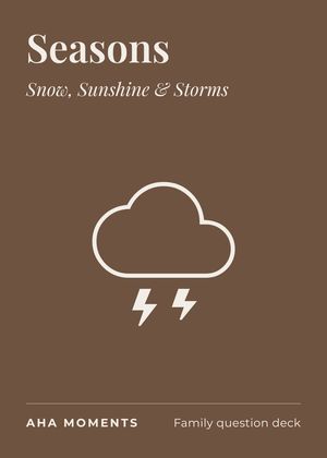 The Seasons card: Snow, Sunshine & Storms