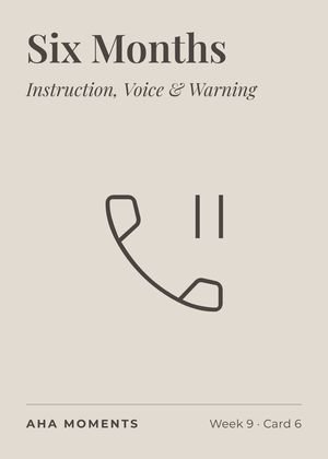 The Six Months card: Instruction, Voice & Warning