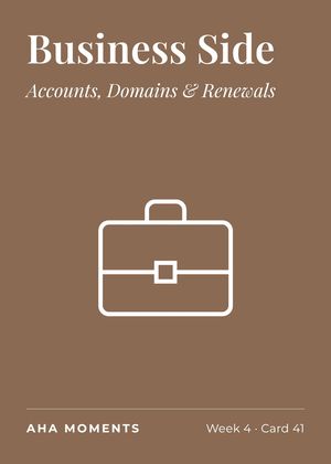 The Business Side card: Accounts, Domains & Renewals