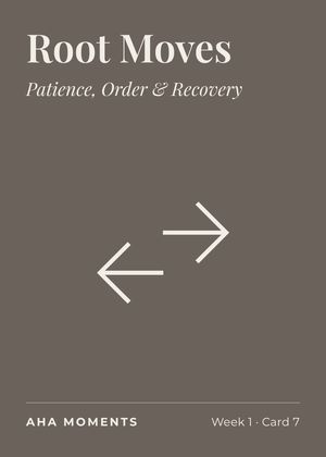 The Root Moves card: Patience, Order & Recovery