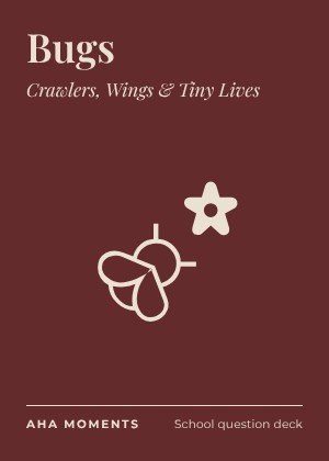 The Bugs card: Crawlers, Wings & Tiny Lives