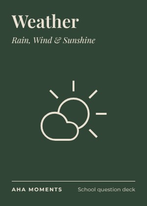 The Weather card: Rain, Wind & Sunshine