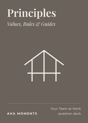 The Principles card: Values, Rules & Guides