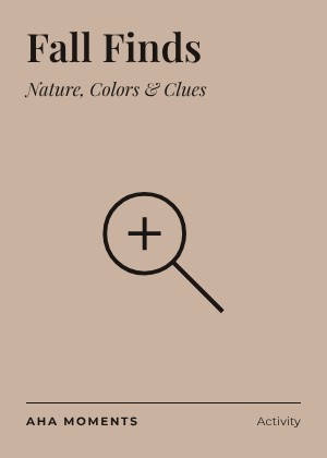 The Fall Finds card: Nature, Colors & Clues