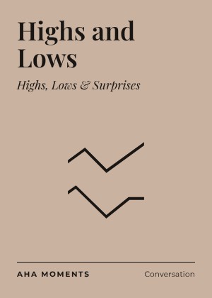 The Highs and Lows card: Highs, Lows & Surprises