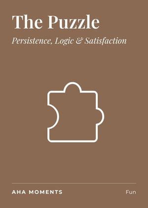 The The Puzzle card: Persistence, Logic & Satisfaction